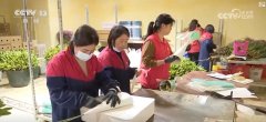 “鲜花经济”终身
